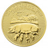 2019 1 oz Britisches Gold Mondjahr des Schweins Münze | Goldbarrenshops