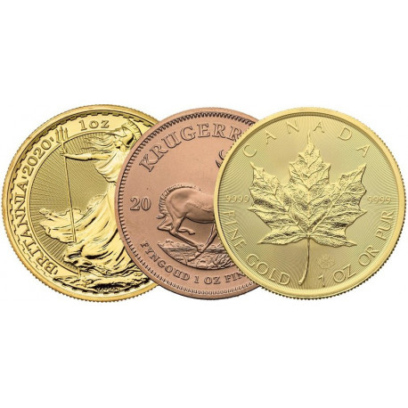 1 oz Gold Coin Best Price - peninsulahcap