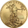 2020 1 oz American Gold Eagle Münze | Geschäfte für Goldbarren