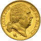 20 Franc Louis XVIII Gold Coin (1814-1824) - peninsulahcap