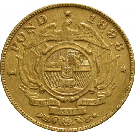 South African 1 Pond Gold Coin - peninsulahcap