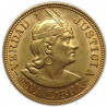 Peru One Libra Gold Coin - peninsulahcap