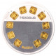 Heraeus MultiDisc 10 x 1 Gram Gold Bar - peninsulahcap