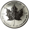 Palladium Maple 1oz Coin - $2,888 - Bullion - peninsulahcap