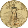 1 Unze American Eagle Goldmünze von 1994